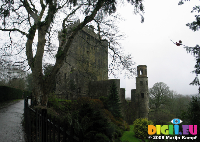 24809-24812 View of Blarney Castle and Round lookout tower